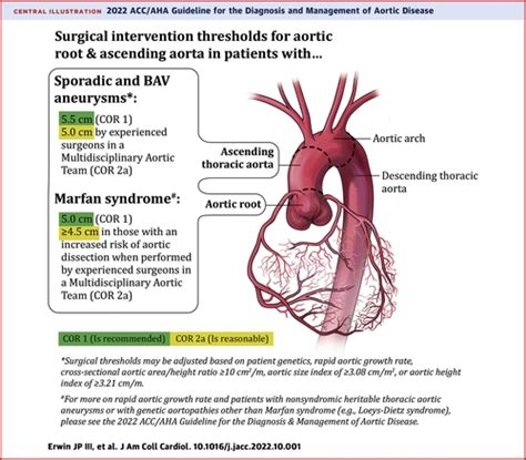 Ascending Thoracic Aortic Aneurysm