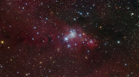 The Cone Nebula Region in Monoceros