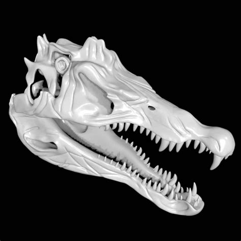 Spinosaurus skull 3d model Low Poly AR 3D Model - Team 3d Yard