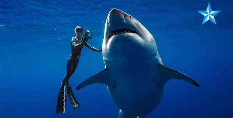 Watch: Diver Swims with Massive Great White Shark Nicknamed "Deep Blue" - InsideHook