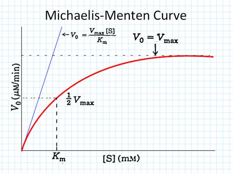 enzyme kinetics michaelis menten equation - Tuition Tube