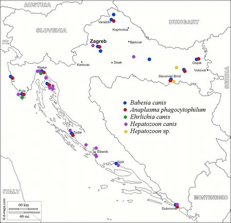 Areas with detected VBD in Croatian dogs. B. canis, Hepatozoon sp. and ...