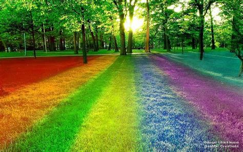 Nature in color | Rainbow colors, Beautiful rainbow, Background