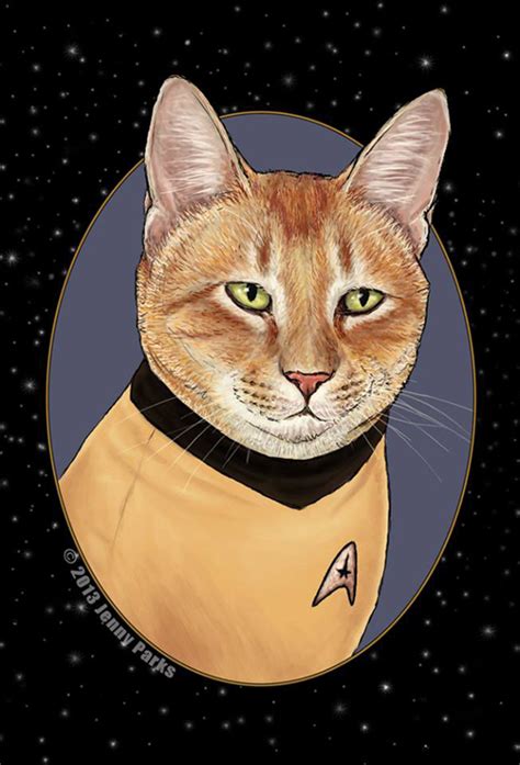 Star Trek Cats Fan Art