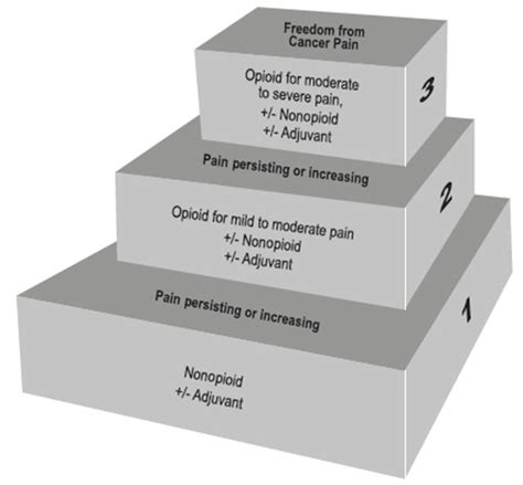 World Health Organization's pain relief ladder | Download Scientific ...