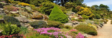 Dunedin Botanic Garden , Dunedin | Halal Trip