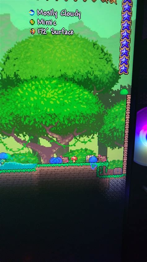 mimic spawned on surface : r/Terraria