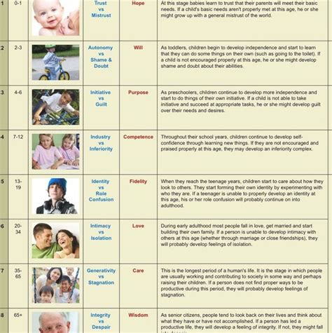 Eric Erickson's Psychosocial Development Chart- The most widel ...