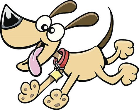 Dog Shaking Ears Illustrations, Royalty-Free Vector Graphics & Clip Art - iStock