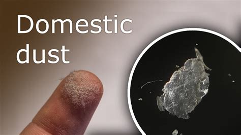 What Is Dust Made Of? House Dust Under a Microscope (100x-1000x) - YouTube