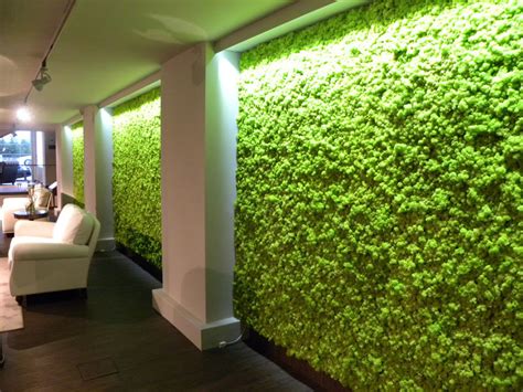 Moss Wall | Plantscapes