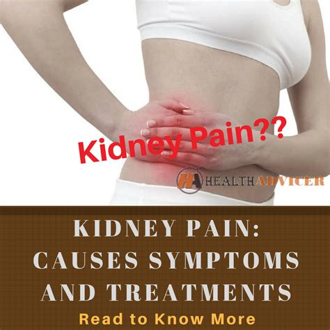 Kidney Pain : Causes, Location, Symptoms and Treatment