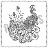 Peacock With Mandala Coloring Page Kids Adults Peacocks Wild  sketch template