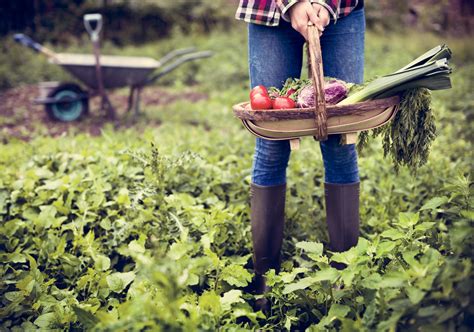 How to Plan Your Best Garden & Harvest for a Years Worth of Food ...