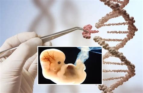 humans genetically modified for the first time in europe ...