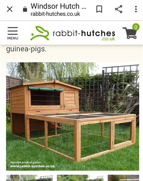 Rabbit Housing - Let's get it right for our rabbits!