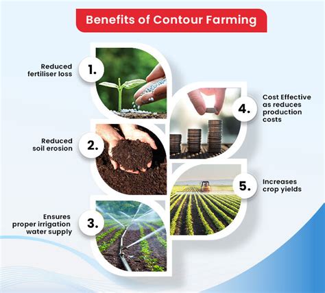 Contour Farming and its Benefits : How to Get Started in India?