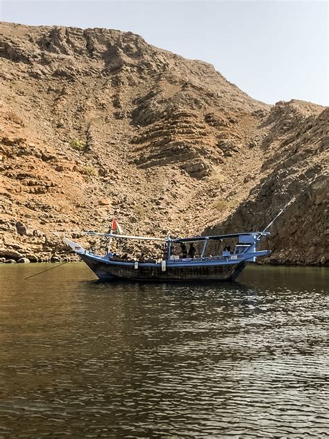 Dhow cruise exploring the Musandam Fjords in Oman - wild man life