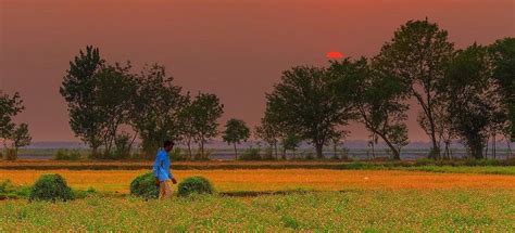 Village Life in Pakistan