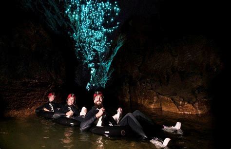 Glow Worms Caves New Zealand - Waitomo Glow Warm Caves New Zealand South Island