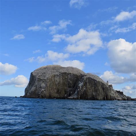 Bass Rock