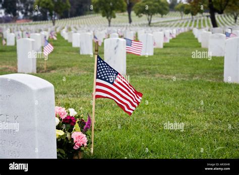 The Veterans cemetery displaying the American flags Stock Photo - Alamy