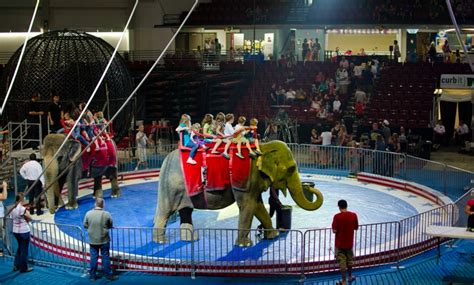 Jordan World Circus - Jordan World Circus | Groupon