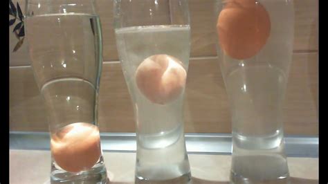 Eggs & Salt Water - float an egg in the middle of salt water - HD - YouTube