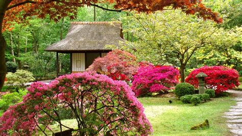 Spring Japanese Garden HD Wallpaper - WallpaperFX