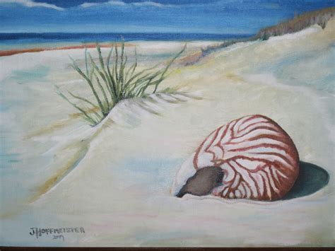 Shell on Beach 2013 Oil on Canvas 12" X 16" | Art portfolio, Painting ...