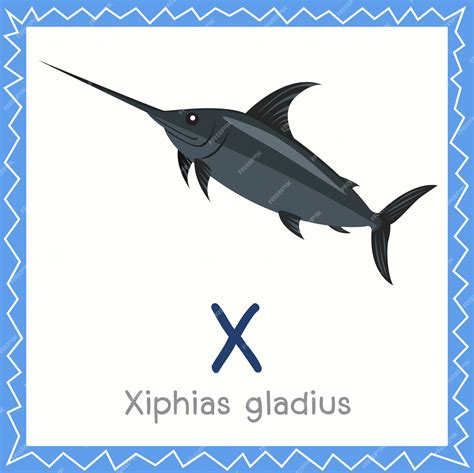 Premium Vector | Illustrator of x for xiphias gladius animal