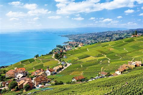 Lavaux-Vineyard-Terraces-Lake-Geneva-and-Swiss-mountains – DPauls ...