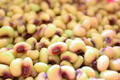 How to Cook and Season Southern Purple Hull Peas - SmartyPantsKitchen