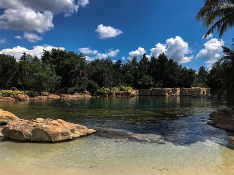 An Honest Comparison: Discovery Cove From a Disney Perspective | Guide4WDW.com