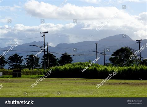 Kahi Kani Park Powerlines Birds Air Stock Photo 785359327 | Shutterstock