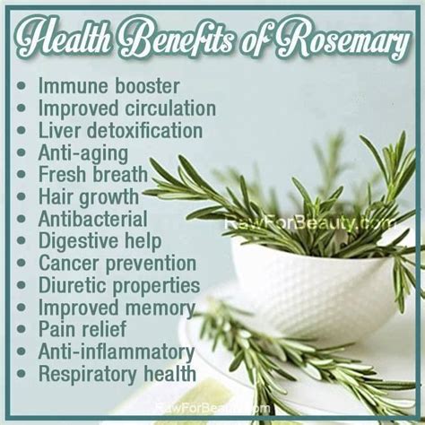 Rosemary | Health benefits, Coconut health benefits, Herbs