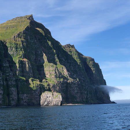 Wild Westfjords (Isafjordur) - 2019 All You Need to Know Before You Go ...