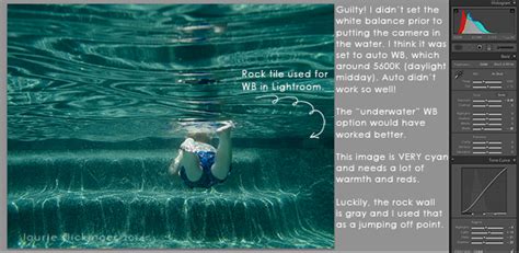 6 Underwater Photography Tips