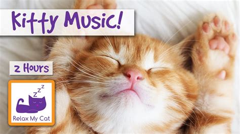 Kitty Music. Relaxing Music for Cats and Kittens! - YouTube