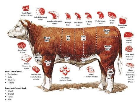 Best and Worst Cuts of Beef