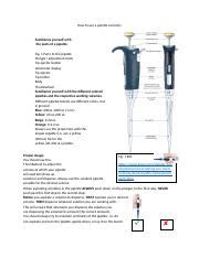 Guide to Proper Pipette Usage Techniques | Course Hero