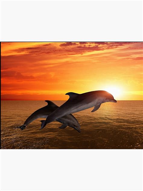 "dolphin poster,dolphin wall art,dolphin art, ocean, sea, blue, fish, dolphin metal wall art ...