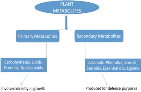 Metabolites Examples