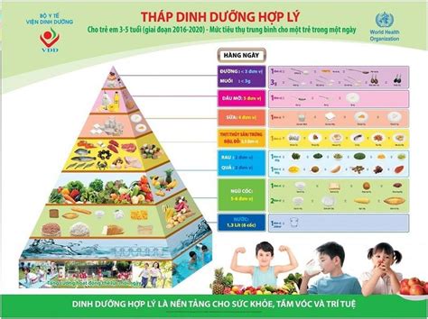 Tháp dinh dưỡng cho người Việt: Hiểu đúng để áp dụng hiệu quả World ...