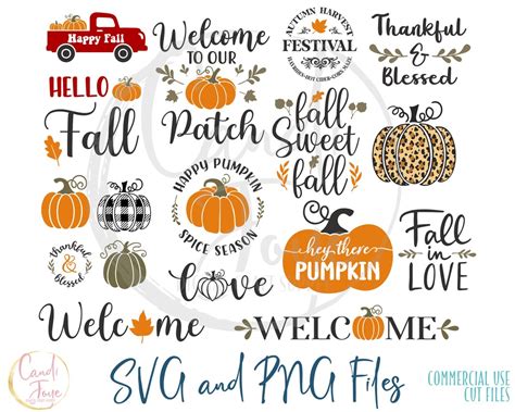 Fall SVG Bundle Pumpkin SVG Bundle Fall SVG Pumpkin Png Pumpkin Clipart Thanksgiving Svg Autumn ...