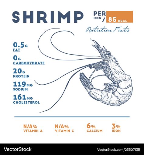 Nutrition facts of shrimp hand draw sketch Vector Image