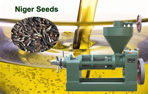 Quality Niger Seed Oil Extraction Mill for Sale