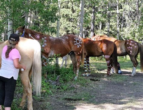 Girls' Summer Horse Riding Camps, Alberta at Wildhorse Ranch