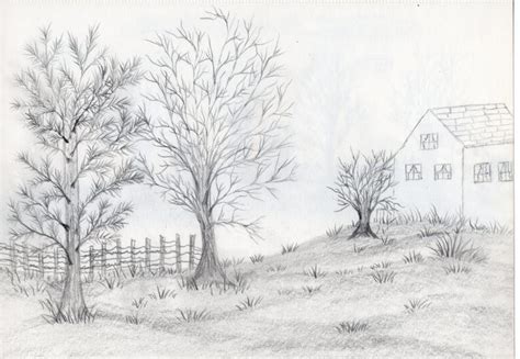 Hand drawn landscape trees - Free Stock Photo by rudy liggett on Stockvault.net