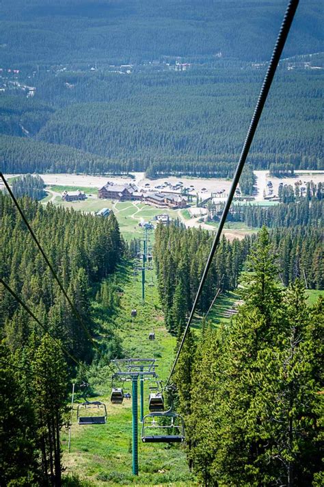 Experience the Lake Louise Summer Gondola - Travel Banff Canada